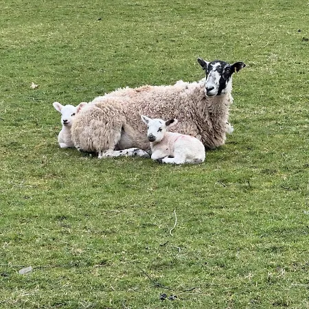 Dunmallet - 普利布里奇