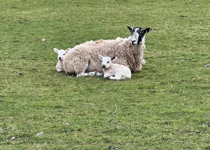 Dunmallet - 普利布里奇