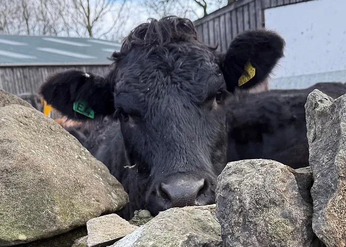 Dunmallet - 度假居 *